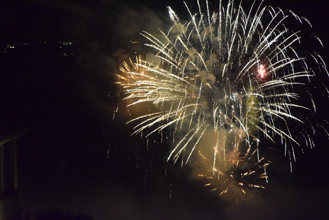 fireworks_24aug14 (12)