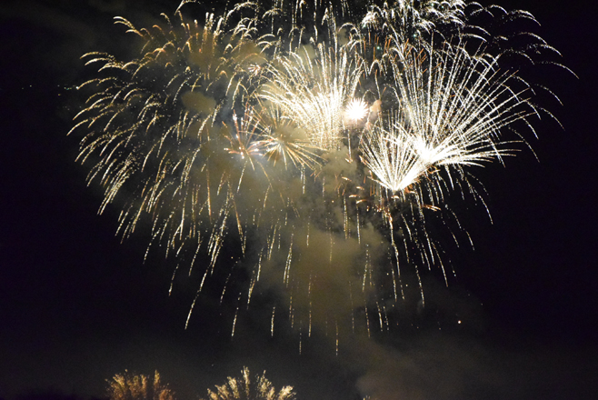 fireworks_24aug14 (15)