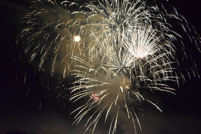 fireworks_24aug14 (19)