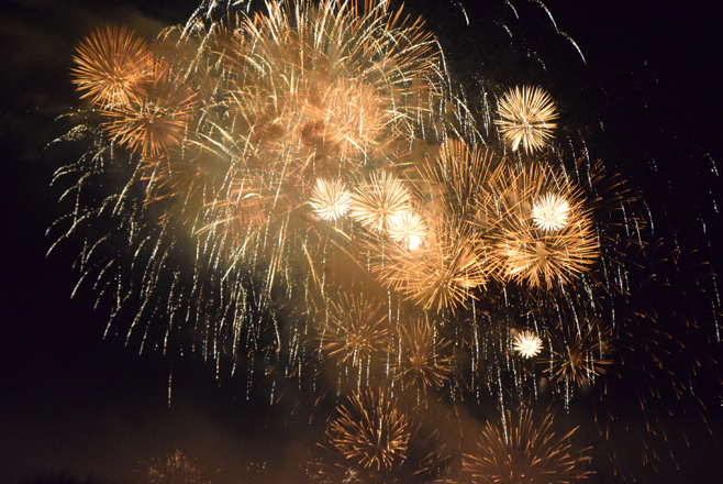 fireworks_24aug14 (28)