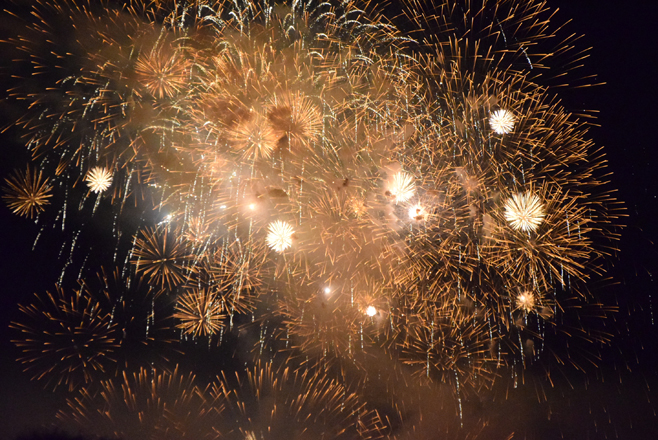 fireworks_24aug14 (29)