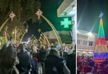 ฮ ฮฃฮฑฮฝฯฮฟฯฮฏฮฝฮท ฯฯฯฮตฯฮต ฯฮฑ ฮณฮนฮฟฯฯฮนฮฝฮฌ ฯฮทฯ