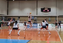 ฮฮผฮนฯฮตฮปฮนฮบฮฟฮฏ Volley League ฮณฯ
ฮฝฮฑฮนฮบฯฮฝ: ฮฯฯฮฑ ฮณฮนฮฑ ฯฮฟฮฝ ฮฮ ฮฮฎฯฮฑฯ ฯฯฮทฮฝ ฮญฮดฯฮฑ ฯฮฟฯ
ฮ ฮฮ