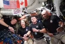 ฮฯฮฟฯ ฮญฮบฮฑฮฝฮต ฯฮฟฮฝ ฮณฯฯฮฟ ฯฮทฯ ฮฃฮตฮปฮฎฮฝฮทฯ, ฮท ฮฑฯฮฟฯฯฮฟฮปฮฎ ฮฯฯฮตฮผฮนฯ II ฮตฯฮนฯฯฯฮญฯฮตฮน ฯฯฮท ฮฮท